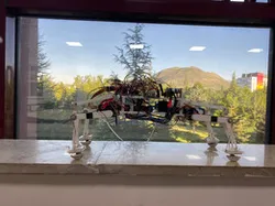 The balance system of the dog robot