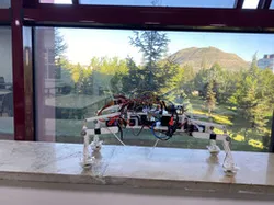 The balance system of the dog robot