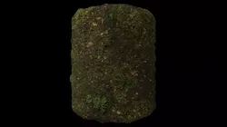 PBR Scanned Grassy Soil Texture