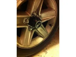 EV Wheel Coin or Horn Button