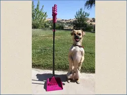 Pooper Scooper