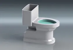 Toto Toilet