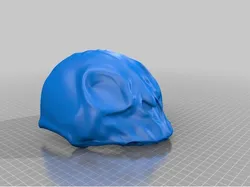 Lynx Helmet