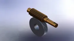 Worm Gear