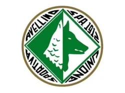 Avellino Football Club Keychain - Free 3D Print Model
