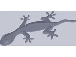Gecko