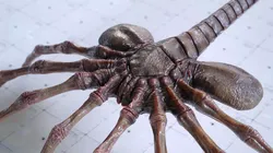 Alien Facehugger - 3D Asset Kit PBR Low-poly 3D model