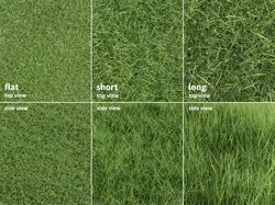 Grass Patches Green Meadow 3D model