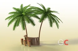 Tropical bar