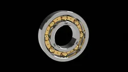 TSC Bearing