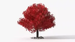 LowPoly Japanese Maple Tree with Mulch and Stones 3D model