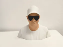 Piloto Werner  - Modelo de impresión 3D gratuito