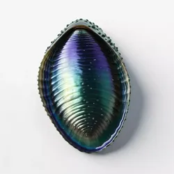 Realistic Iridescent Abalone Shell 3D model