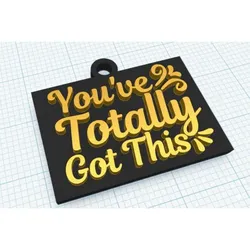 You've totally got this keychain Necklace - Motivational keychain - Support keychain- Gift keychain - Cool keychain phrase