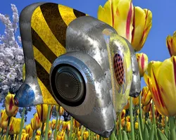 Bee-Bot