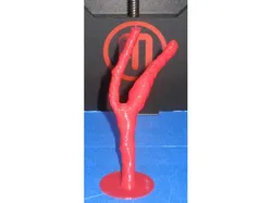Carotid Artery from MRI
