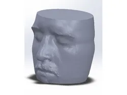JVA Head Mug
