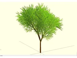 Completely Random Tree