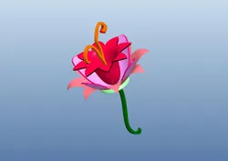 unique flower