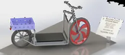 Walking Cycle
