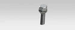 Wheel bolt