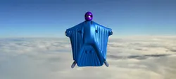 wing suit (all model)