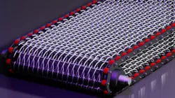 WIRE MESH BELT CONVEYOR - CONVEYOR ROLLER CHAIN 3DCAD C2080