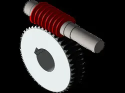 Worm Gear
