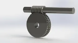 Worm Gear Assembly