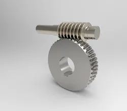 Worm Gear