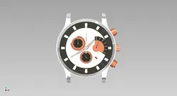 Wrist Watch (Casio)