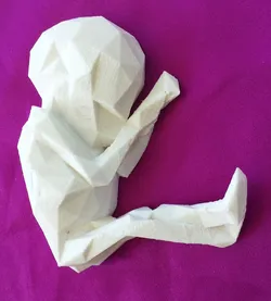 Alien Fetus Fridge Magnet Baby - Low Poly