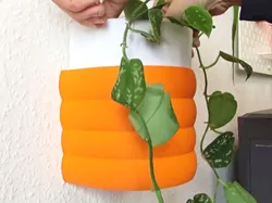 BubblePot - Montaje en pared - Modelo de impresión 3D gratuito