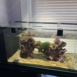 IMAGITARIUM 6.8 GALLON SHALLOW AIO KIT