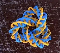 Mobius Torus Knot Type-1 3D print model