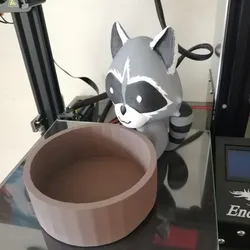 Raccoon Pot