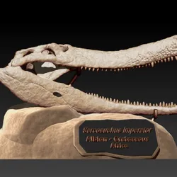 Sarcosuchus imperator skull
