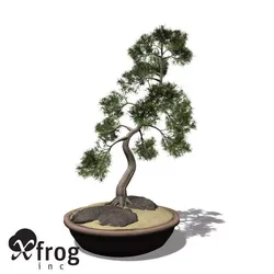 XfrogPlants Temple Juniper - Bonsai 3D model