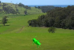 GrassHopper
