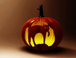 halloween pumpkin cat