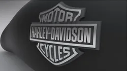 HARLEY-DAVIDSON Fueltank