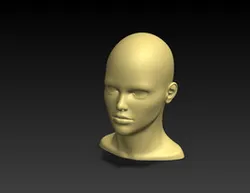 Head