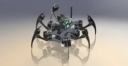 Hexapod Robot