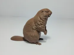 Realistic Beaver - Free 3D Print Model