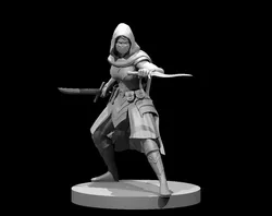 Assassins 2025 - Free 3D Print Model