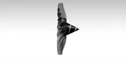 high bypass turbofan front fan (10:1 ratio)