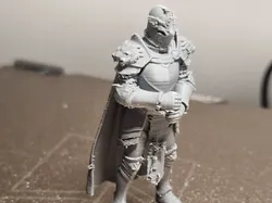D&D Warrior Miniature - D&D Warrior Miniature  - Free 3D Print Model