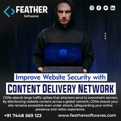 feather software
