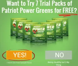 http://www.nutritionofenergy.com/patriot-power-greens/