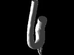 Human Anatomic Aorta